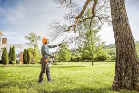  Claremont, CA Tree Care Pros