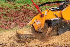 Best Tree Maintenance Programs  in Claremont, CA