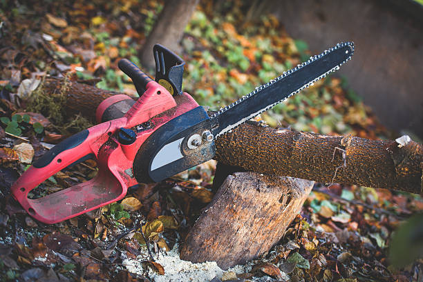 Best Pest Control for Lawns  in Claremont, CA